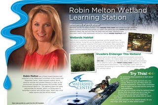 Robin Melton Wetland
                                                                            Learning Station
                                                                            Wetlands Purify Water
                                                                            Wetlands are like the earth’s kidneys: they naturally clean water that passes through. Wetland
                                                                            plants consume nutrients that pollute our water—the plants also help control floods and trap
                                                                            sediment (sand, clay, and soil) that can clog rivers and lakes. Wetlands have
                                                                            even been used to treat wastewater, acting as a natural sewage treatment plant!  !


                                                                            Wetlands Habitat
                                                                            Many kinds of waterfowl, amphibians, mammals, and fish benefit from the
                                                                            wetland habitat. Young fish use the protection of the water plants as a nursery
                                                                            and local and migratory waterfowl find food in the wetland. Many species of
                                                                            amphibians live here year round, and spring is especially lively with amphibian
                                                                            activity. Mammals like raccoons and minks patrol the shores for food, and
                                                                            beavers and muskrats make the wetlands home.


                                                                                                                  Invaders Endanger This Wetland
                                                                                                                  I
                                                                                                                  Invasive plants are a danger to terrestrial and aquatic ecosystems
                                                                                                                  a
                                                                                                                  around the country. An invasive plant is a species of plant that can
                                                                                                                  t
                                                                                                                  take over, out-competing most other plants, endangering biodiversity.
                                                                                                                  I
                                                                                                                  In this wetland a plant called Reed’s Canary Grass threatens to choke
                                                                                                                  o
                                                                                                                  out native grasses and flowers. The Watershed Center staff and
                                                                                                                  v
                                                                                                                  volunteers are working to control Reed’s Canary Grass and preserve
                                                                                                                  o
                                                                                                                  our wetland habitat.



                                                                                                                                                                  Try This!
                  Robin Melton was a friend, board member and                                                                                        Try answering these questions to learn about
                supporter of the Watershed Committee of the Ozarks and                                                                               the wetland!
                     Watershed Center. Robin enjoyed outdoor sports,                                                                                 • Dip a cup of the water and look very, very
                  cared for animals and worked tirelessly to clean up the                                                                              closely. What do you see? Many times you
                   environment through the business she founded called                                                                                 will find zooplankton. These small crustaceans
                 Environmental Works Inc. This wetland cleans the water                                                                                feed on algae and provide food for young fish
                    and provides for animals, which is a fitting place to                                                                              and amphibians.
                 remember a person who did the same. Robin was a true                                                                           • Can you see any animals using the wetland today?
                           water warrior and she will be missed.                                                                                  Do you think the animals you see or hear live
                                                                                                                                                  the all year, or are they just stopping in?
                                                                                                                                                  there
                                                                                                                                          • Do you th
                                                                                                                                                    think this wetland was always here, or was it
                                                                                                                                            man mad
                                                                                                                                                 made?
                                                                                                                                     • Close your ey and listen to the wetland sounds. Do you
                                                                                                                                                   eyes
                                                                                                                                       hear frogs, bir
                                                                                                                                                   birds, bugs, or other animal noises?
Signs made possible by a grant from the LAD Foundation
 