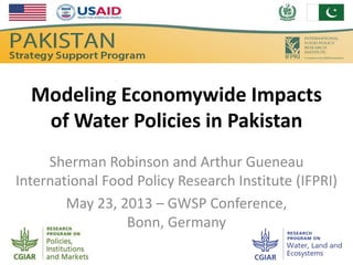 Modeling Economywide Impacts
of Water Policies in Pakistan
Sherman Robinson and Arthur Gueneau
International Food Policy Research Institute (IFPRI)
May 23, 2013 – GWSP Conference,
Bonn, Germany
 