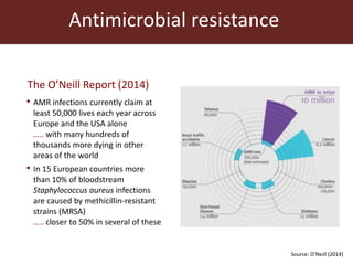 Antimicrobial resistance and the global livestock sector