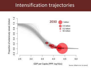 Antimicrobial resistance and the global livestock sector