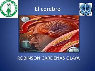 El cerebro




ROBINSON CARDENAS OLAYA
 