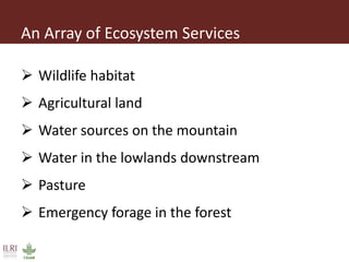 Institutional linkages for landscape level governance: The case of Mt. Marsabit, Kenya 