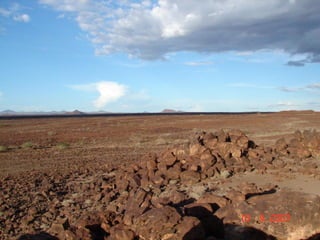 Institutional linkages for landscape level governance: The case of Mt. Marsabit, Kenya 