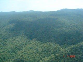 Institutional linkages for landscape level governance: The case of Mt. Marsabit, Kenya 