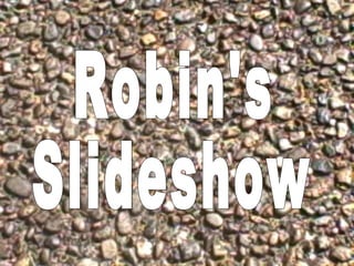 Robin's Slideshow 