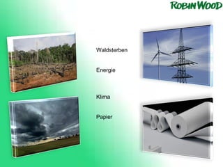 Waldsterben Energie Klima  Papier 