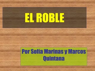 EL ROBLE Por Sofía Marinas y Marcos Quintana 