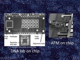 N. Sarkar, 2013



                                                     AFM on chip
J. Micro/Nanolith. MEMS MOEMS. 7(4), 043035 (2008)



DNA lab on chip
 