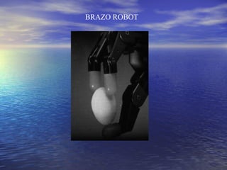 BRAZO ROBOT 