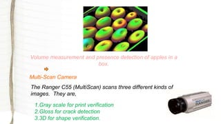 Volume measurement and presence detection of apples in a
box.
Multi-Scan Camera
The Ranger C55 (MultiScan) scans three different kinds of
images. They are,
1.Gray scale for print verification
2.Gloss for crack detection
3.3D for shape verification.
 