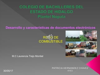 Desarrollo y características de documentos electrónicos
ROBO DE
COMBUSTIBLE
M.C Laurencia Trejo Montiel
30/05/17
 