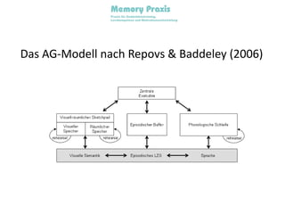 Das AG-Modell nach Repovs & Baddeley (2006)