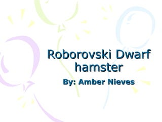 Roborovski Dwarf hamster By: Amber Nieves 