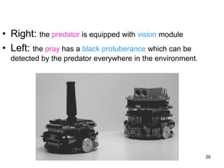 26
• Right: the predator is equipped with vision module
• Left: the pray has a black protuberance which can be
detected by the predator everywhere in the environment.
 