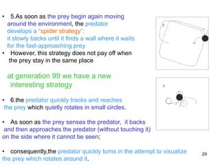 29
• 5.As soon as the prey begin again moving
around the environment, the predator
develops a “spider strategy“:
it slowly backs until it finds a wall where it waits
for the fast-approaching prey
• However, this strategy does not pay off when
the prey stay in the same place
at generation 99 we have a new
interesting strategy
• 6.the predator quickly tracks and reaches
the prey which quietly rotates in small circles.
• As soon as the prey senses the predator, it backs
and then approaches the predator (without touching it)
on the side where it cannot be seen;
• consequently,the predator quickly turns in the attempt to visualize
the prey which rotates around it.
 