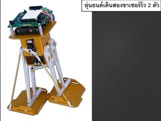 หุ่นยนต์เดินสองขาเซอร์โว 2 ตัว
 
