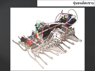 หุ่นยนต์ตะขาบ
 