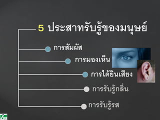 5 ประสาทรับรู้ของมนุษย์
การสัมผัส
การมองเห็น
การได้ยินเสียง
การรับรู้รส
การรับรู้กลิ่น
 