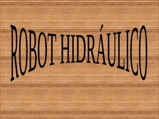 ROBOT HIDRÁULICO 