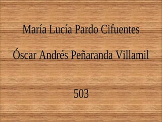 María Lucía Pardo Cifuentes Óscar Andrés Peñaranda Villamil 503 