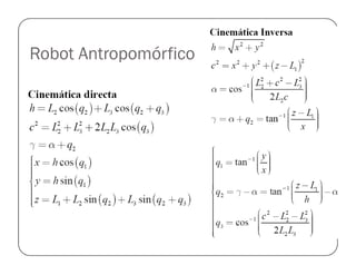 Robot Antropomórfico
 