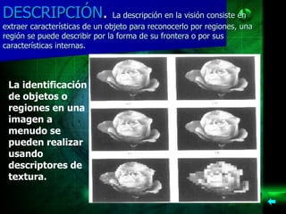 DESCRIPCIÓN .  La descripción en la visión consiste en extraer características de un objeto para reconocerlo por regiones, una región se puede describir por la forma de su frontera o por sus características internas. La identificación de objetos o regiones en una imagen a menudo se pueden realizar usando descriptores de textura.   