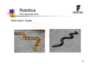24
Robótica
Prof. Alexandre Silva
Robo Cobra - Snake
 