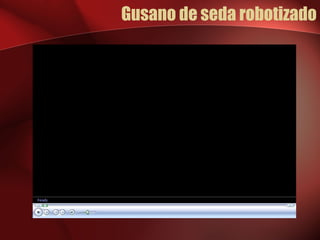 Gusano de seda robotizado
 