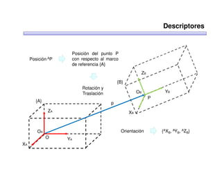 Descriptores


                    Posición del punto P
     Posición AP    con respecto al marco
                    de referencia {A}
                                                     ZB

                                         {B}
                        Rotación y
                        Traslación                  OB         YB
                                                          P
        {A}                          p
              ZA                               XB



        OA                                  Orientación       {AXB, AYB, AZB}
              O    YA
XA
 