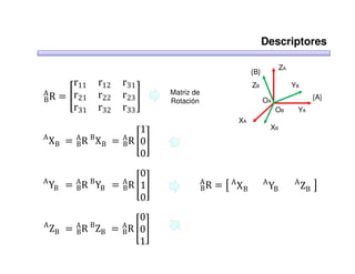 Descriptores


       r11     r12     r31
                                                                            ZA
                                                             {B}


       r
B R = ൥ 21
A              r22     r23 ൩
                                                             ZB                  YB


       r31     r32     r33
                                 Matriz de
                                                                   OA                   {A}
                                 Rotación
                                                                        OB        YA

                            1
                                                       XA

A
    XB = A R BXB     = A R ൥0൩
                                                                       XB

         B             B
                            0
                            0
    YB = A R B YB    = A R ൥1൩               BR   = ൣ A XB             YB             ZB ൧
A                                            A                     A             A
         B             B
                            0
                            0
A
    ZB = A R B ZB
         B           = A R ൥0൩
                       B
                            1
 