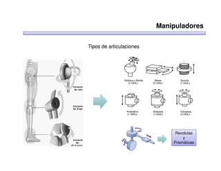 Manipuladores

Tipos de articulaciones




                               Revolutas
                                   y
                              Prismáticas
 