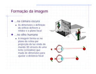 Formação da imagem
...na câmara escura
As dimensões e definição
do orifício definem a
nitidez e o plano focal
...no olho humano
A imagem forma-se no
plano da retina por
projecção da luz vinda do
mundo 3D através de uma
lente (cristalino) que
muda de dimensões para
ajustar a distância focal
 