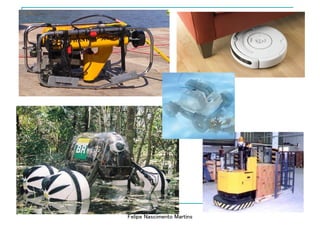 Felipe Nascimento Martins
 