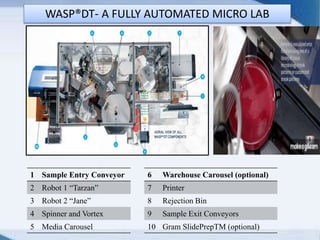 WASP®DT- A FULLY AUTOMATED MICRO LAB
1 Sample Entry Conveyor
2 Robot 1 “Tarzan”
3 Robot 2 “Jane”
4 Spinner and Vortex
5 Media Carousel
6 Warehouse Carousel (optional)
7 Printer
8 Rejection Bin
9 Sample Exit Conveyors
10 Gram SlidePrepTM (optional)
 