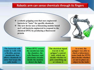 Robotic arm can sense chemicals through its fingers
The bacterial cells
reside in wells with
a flexible, porous
membrane that
allows chemicals to
enter but keeps the
cells inside
When IPTG crosses
the membrane into
the chamber, the
cells fluoresce and
electronic circuits
inside the module
detect the light
The electrical signal
travels to the
gripper's control
unit, which can
decide whether to
pick something up
or release it
As a test, the
gripper was able to
check a laboratory
water bath for IPTG
then decide whether
or not to place an
object in the bath
 a robotic gripping arm that uses engineered
bacteria to "taste" for specific chemicals
 The new device uses a biosensing module based
on E coli bacteria engineered to respond to the
chemical IPTG by producing a fluorescent
protein
 