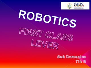 Robotics project 