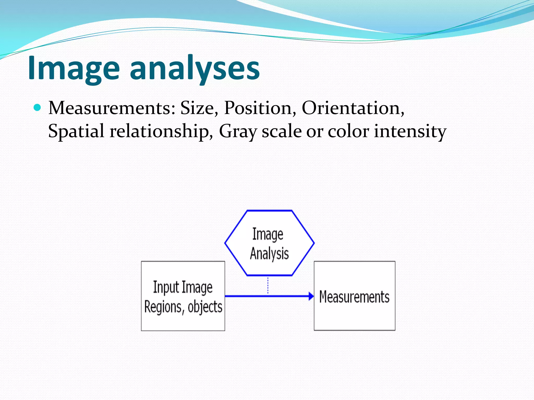 Image analyses
 Measurements: Size, Position, Orientation,
Spatial relationship, Gray scale or color intensity
 