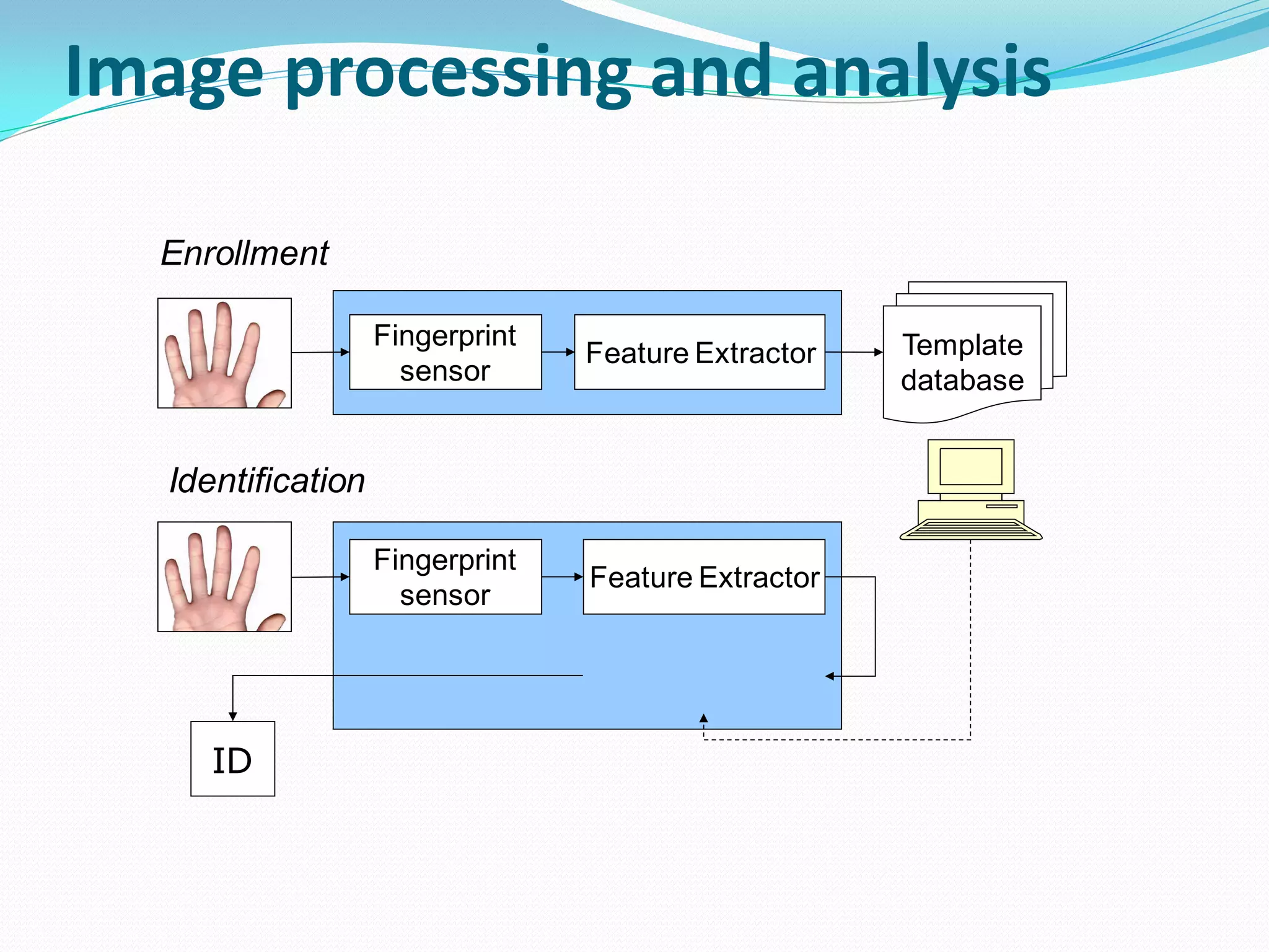 Image processing and analysis
Fingerprint
sensor
Fingerprint
sensor
Feature Extractor
Feature Extractor
ID
Enrollment
Identification
Template
database
 