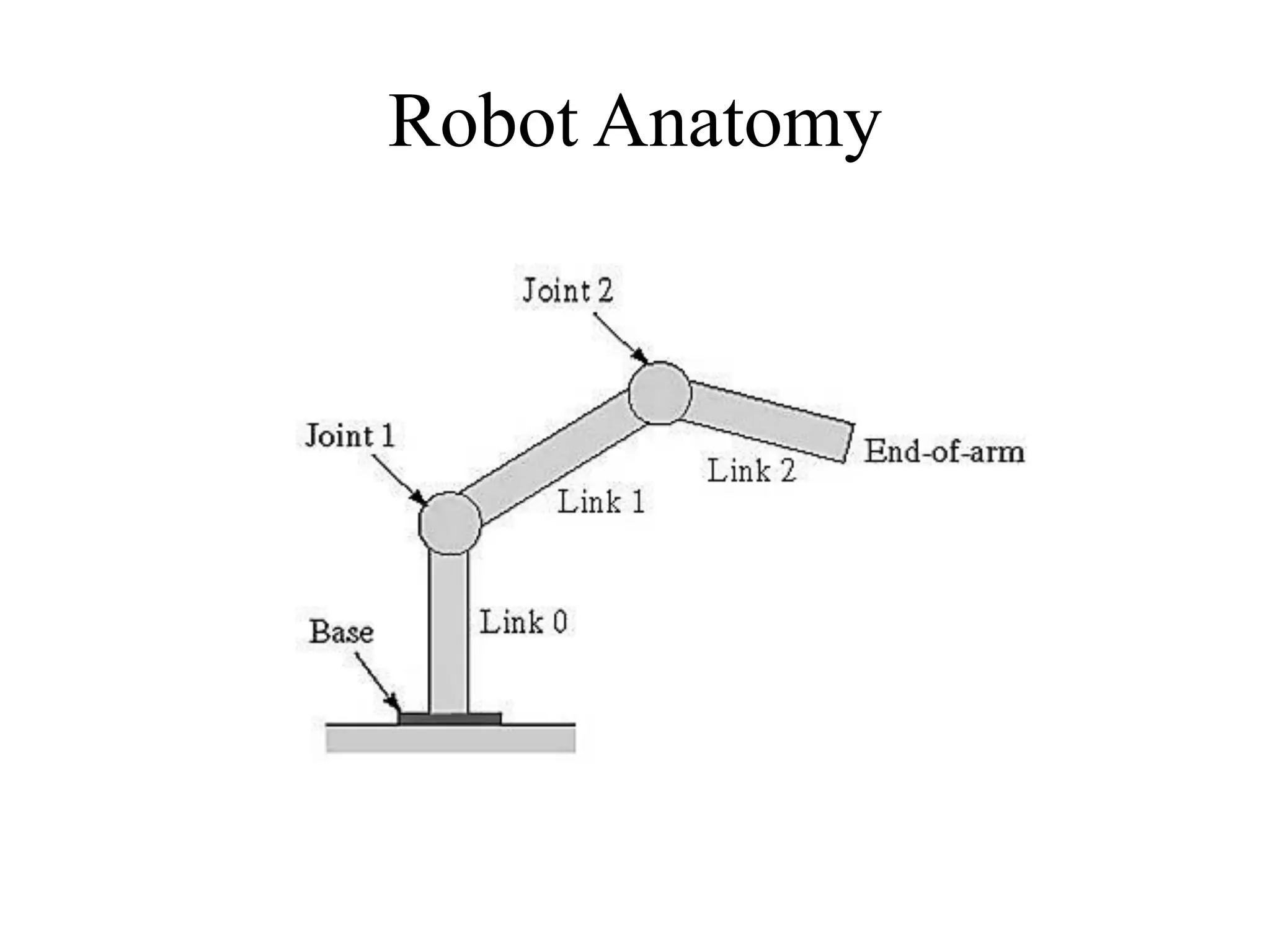 Robot Anatomy
 
