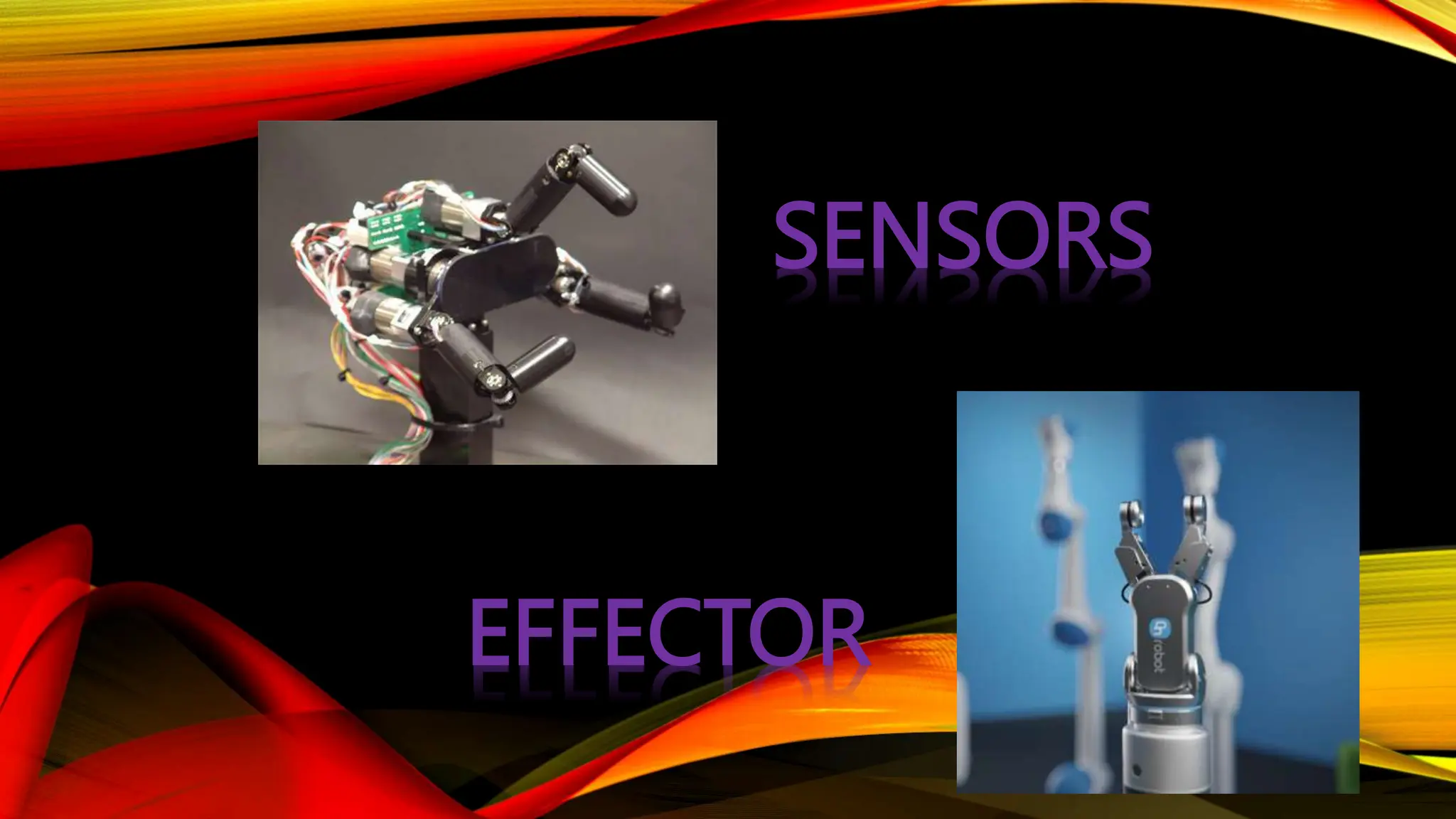 SENSORS
EFFECTOR
 