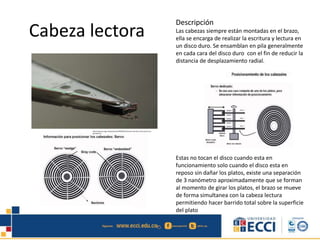 Cabeza lectora
Descripción
Las cabezas siempre están montadas en el brazo,
ella se encarga de realizar la escritura y lectura en
un disco duro. Se ensamblan en pila generalmente
en cada cara del disco duro con el fin de reducir la
distancia de desplazamiento radial.
Estas no tocan el disco cuando esta en
funcionamiento solo cuando el disco esta en
reposo sin dañar los platos, existe una separación
de 3 nanómetro aproximadamente que se forman
al momento de girar los platos, el brazo se mueve
de forma simultanea con la cabeza lectura
permitiendo hacer barrido total sobre la superficie
del plato
http://www.taringa.net/posts/info/9978405/Evolucion-del-disco-duro-post-muy-
grande.html
 