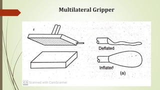 Multilateral Gripper
 