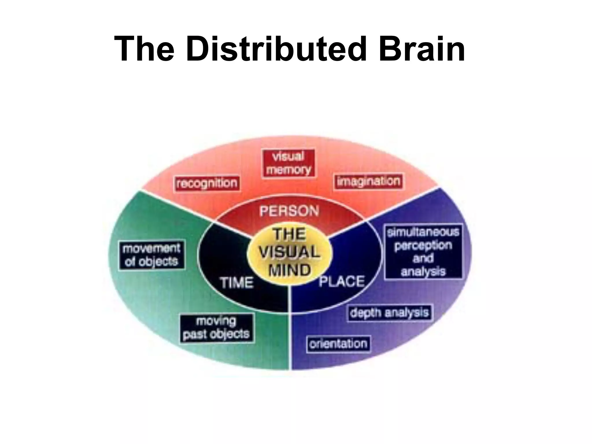 The Distributed Brain
 