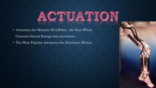 • Actuators Are Muscles Of A Robot , the Part Which 
Converts Stored Energy into movement. 
• The Most Popular Actuators Are Electronic Motors. 
 