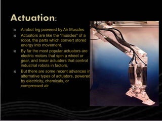  A robot leg powered by Air Muscles
 Actuators are like the "muscles" of a
robot, the parts which convert stored
energy into movement.
 By far the most popular actuators are
electric motors that spin a wheel or
gear, and linear actuators that control
industrial robots in factors.
 But there are some recent advances in
alternative types of actuators, powered
by electricity, chemicals, or
compressed air
 