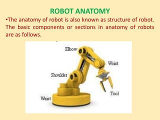 ROBOT ANATOMY
•The anatomy of robot is also known as structure of robot.
The basic components or sections in anatomy of robots
are as follows.
 