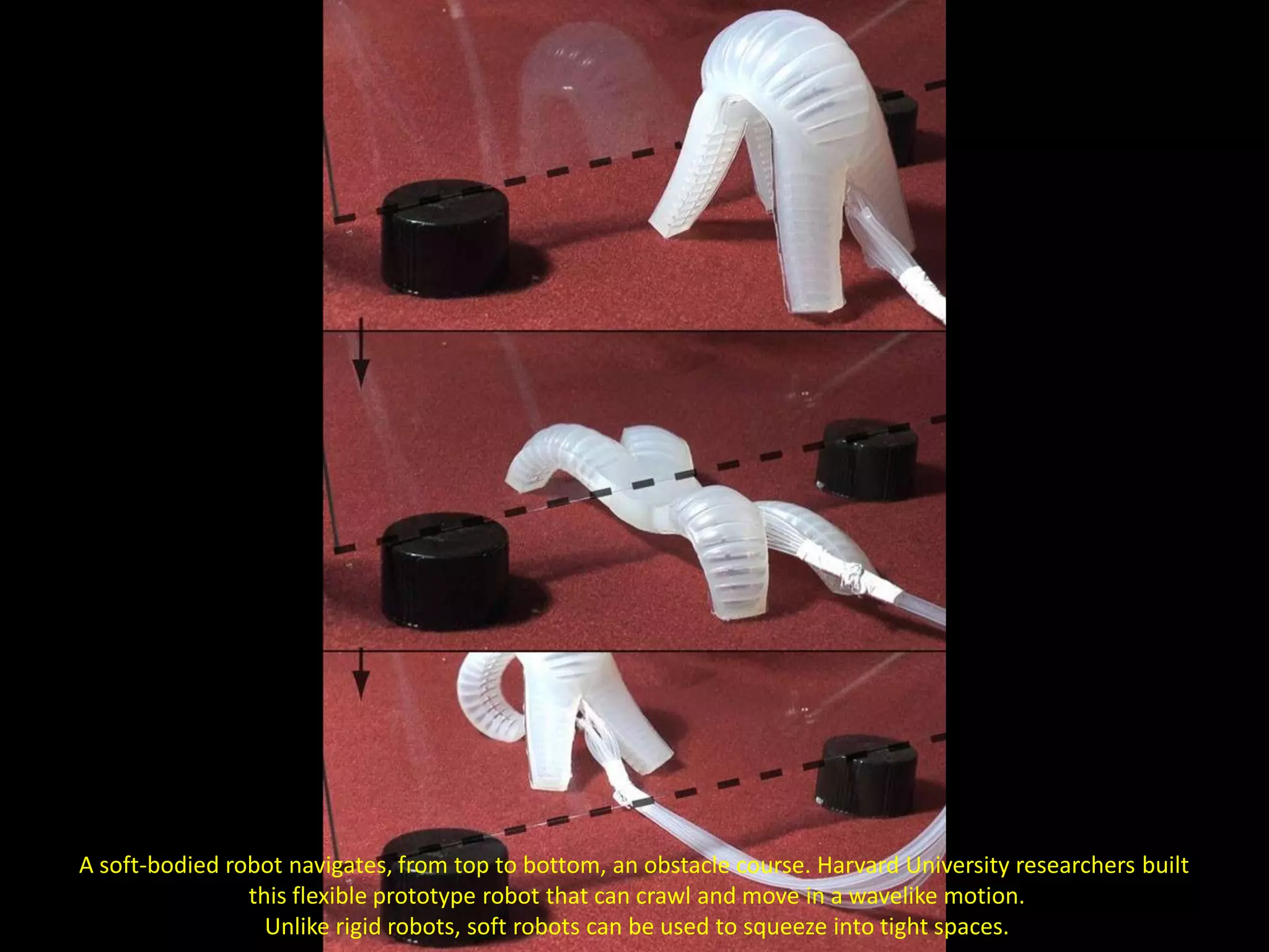 A soft-bodied robot navigates, from top to bottom, an obstacle course. Harvard University researchers built
                this flexible prototype robot that can crawl and move in a wavelike motion.
                  Unlike rigid robots, soft robots can be used to squeeze into tight spaces.
 