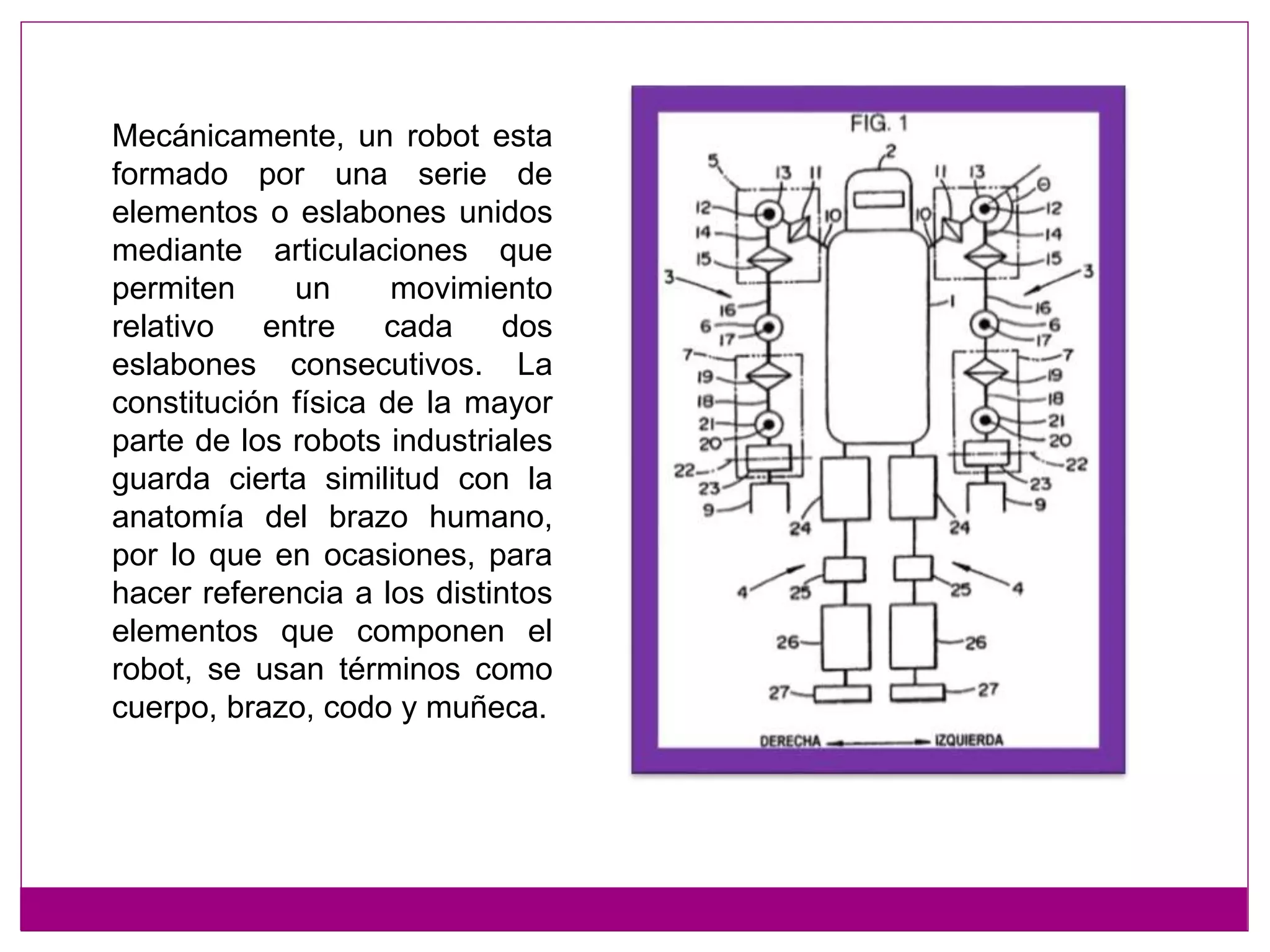 Mecánicamente, un robot esta
formado por una serie de
elementos o eslabones unidos
mediante articulaciones que
permiten un movimiento
relativo entre cada dos
eslabones consecutivos. La
constitución física de la mayor
parte de los robots industriales
guarda cierta similitud con la
anatomía del brazo humano,
por lo que en ocasiones, para
hacer referencia a los distintos
elementos que componen el
robot, se usan términos como
cuerpo, brazo, codo y muñeca.
 