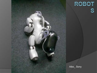 Aibo_ Sony
 