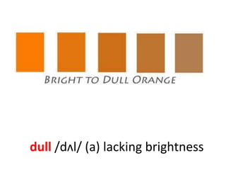 dull /dʌl/ (a) lacking brightness
 